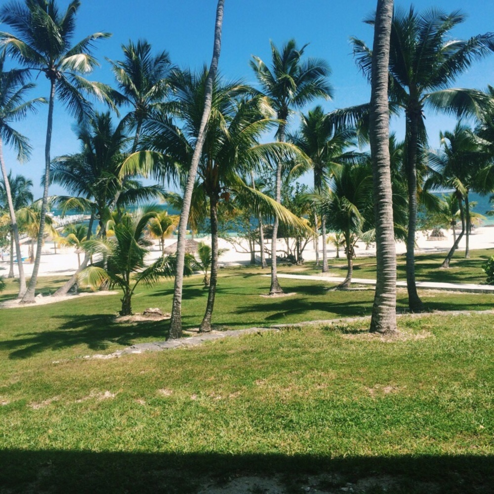 Meet your Posher, Amara